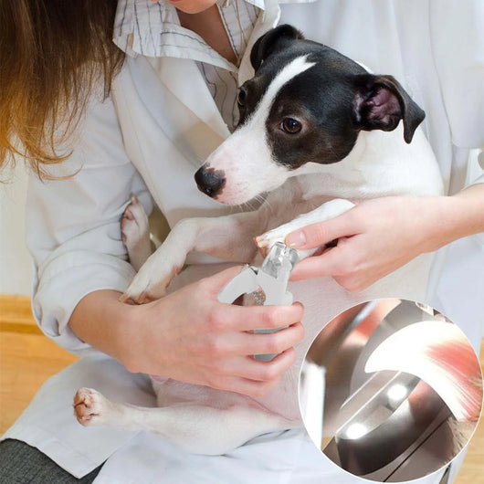 Pawcrest™ Dog Nail Clipper